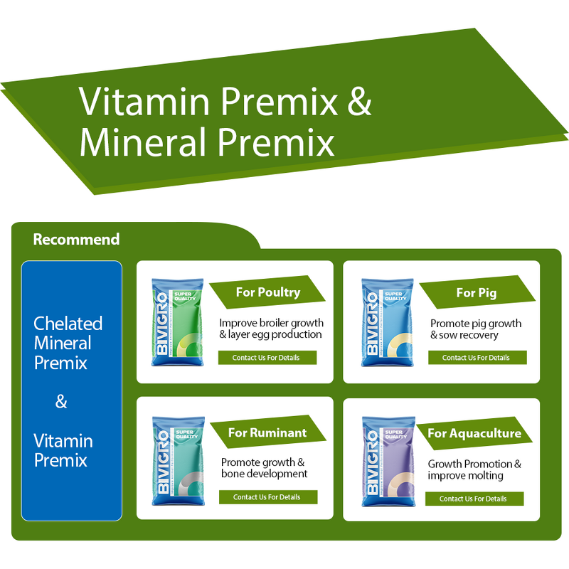 Chelated Organic Multi Minerals - Feed Grade Poultry Broiler Layer Chicken