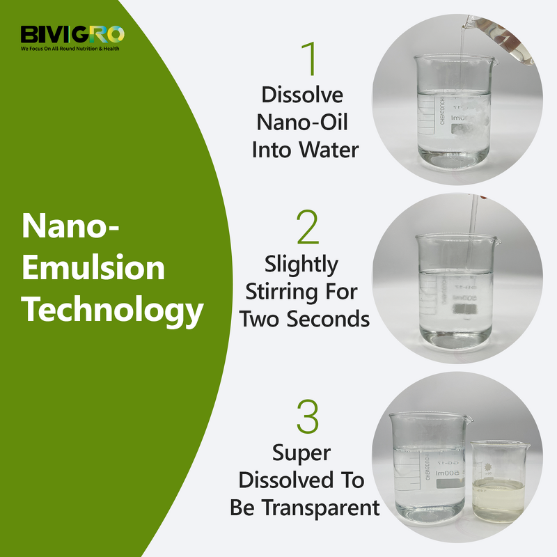 Oregano Oil Extract - Carvacrol Nano Emulsion Poultry Gut Health Antibacterial