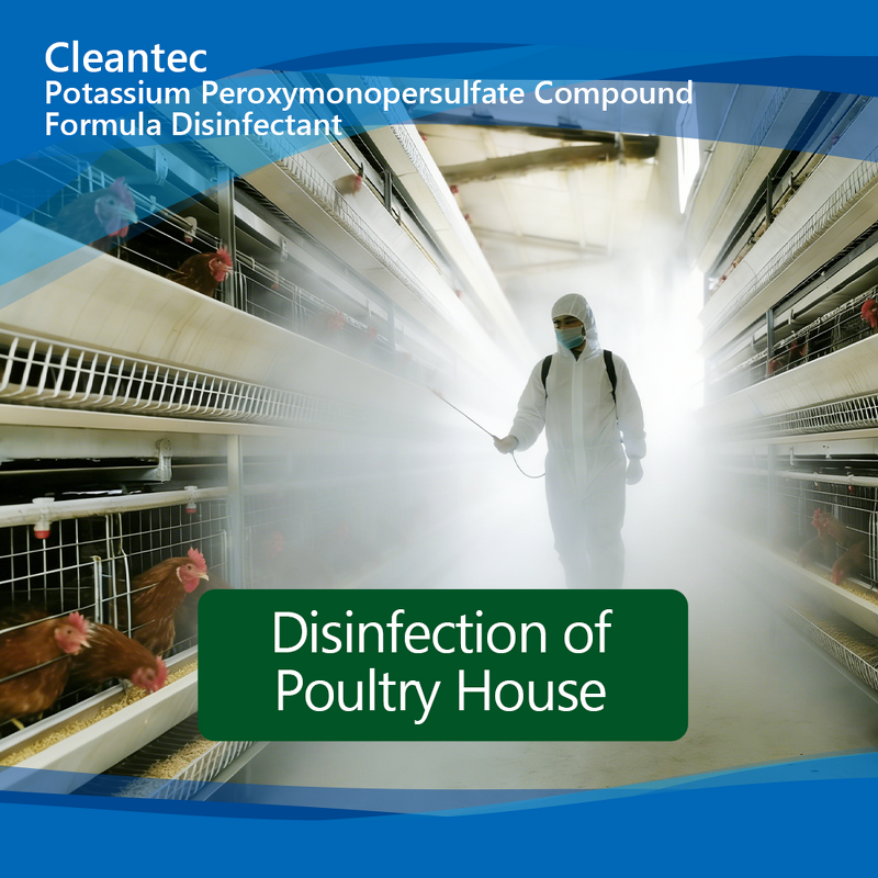 Potassium Peroxymonosulfate Disinfectant - Poultry Farm Chicken Coop Disinfection