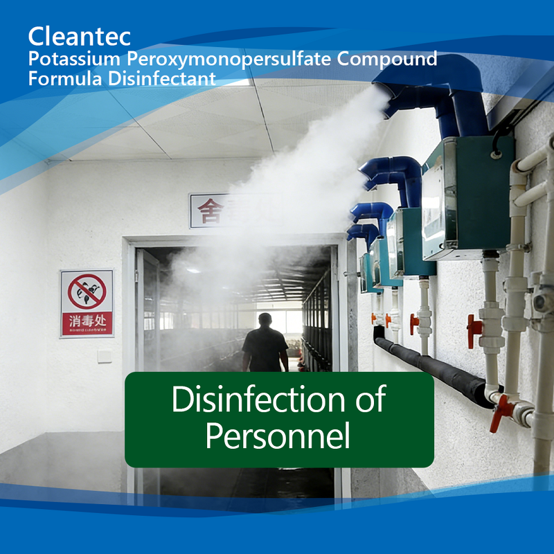 Potassium Peroxymonosulfate Disinfectant - Poultry Farm Chicken Coop Disinfection