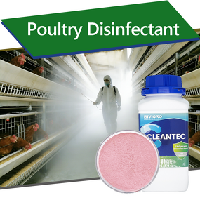 Potassium Peroxymonosulfate Disinfectant - Poultry Farm Chicken Coop Disinfection