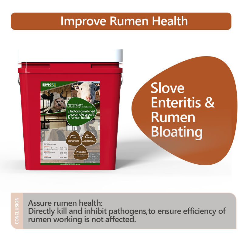 Rumenstar Regulator - Microencapsulated Herb Yeast Probiotic Cattle Sheep Growth