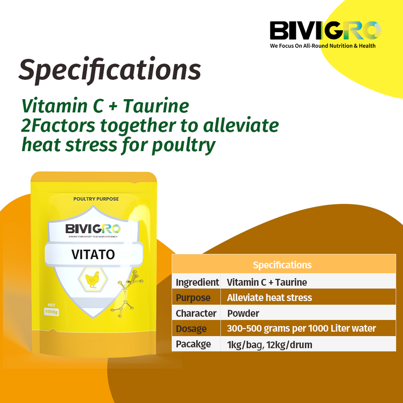 Vitato Poultry Supplement - Taurine Vitamin C Anti Heat Stress for Chicken