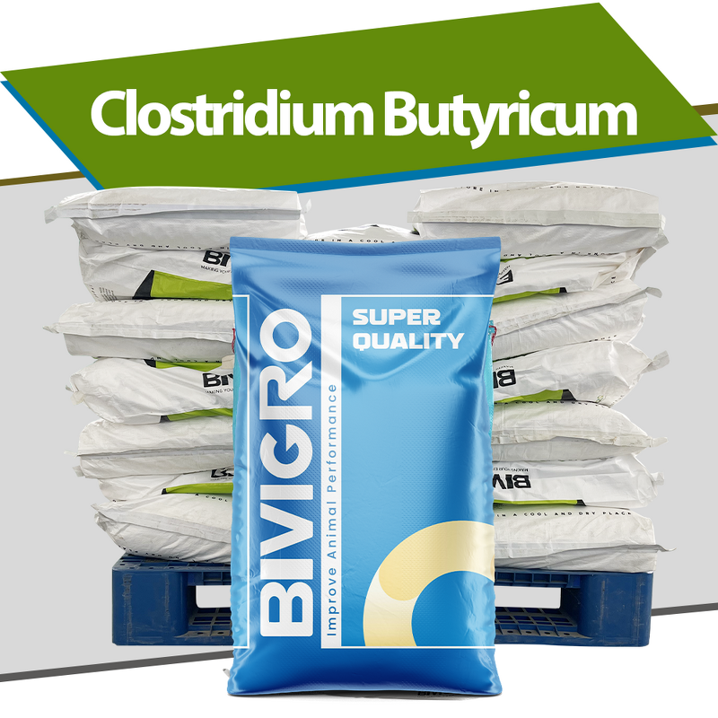 Clostridium Butyricum Probiotic - Feed Grade Poultry Pig Cattle Fish Shrimp Pet