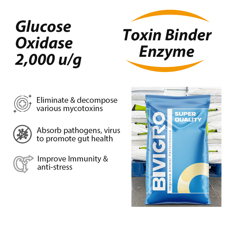 Glucose Oxidase Enzyme - Feed Grade Aflatoxin Degrading Mycotoxin Biodegradation