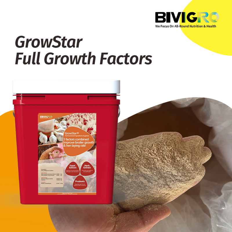Growstar Poultry Supplement - Microencapsulated Herb Yeast Probiotic Growth Egg Boost