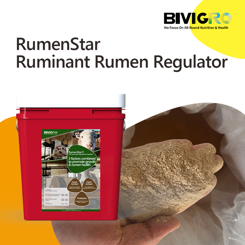 Rumenstar Regulator - Microencapsulated Herb Yeast Probiotic Cattle Sheep Growth