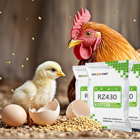 Chicken Breeder Blend Manufacturer - Enzyme Compound to Promote Digestion