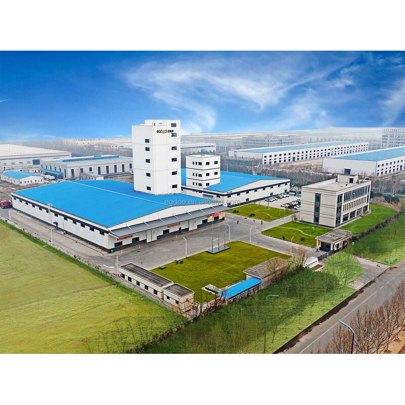 Poultry Feed Additives Manufacturer - to Protect Liver and Intestines for Egg Chickens