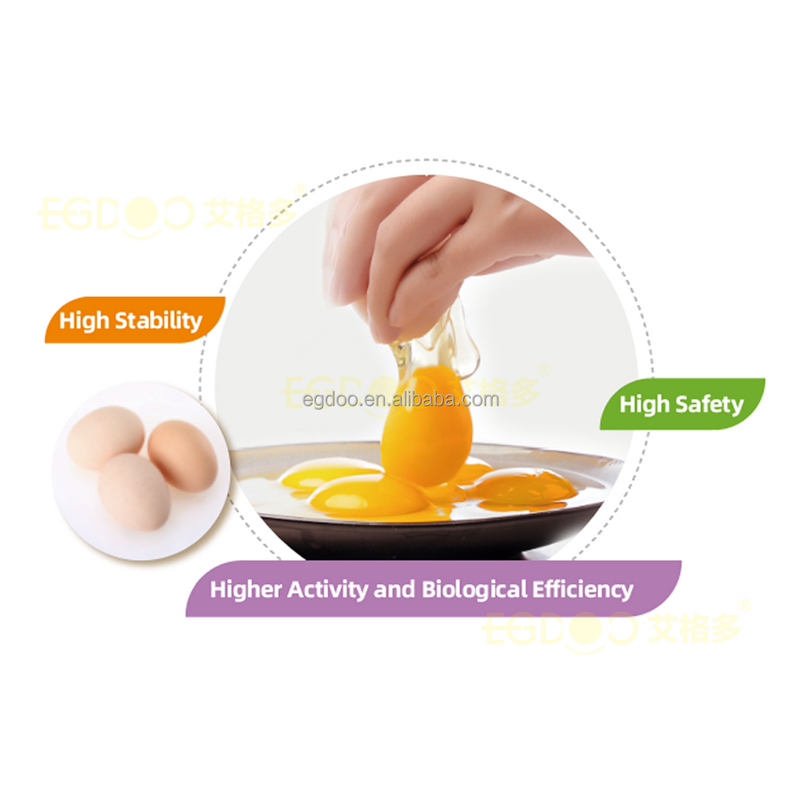 Chick Premix Manufacturer - Early Brooding DHA-Infused for White Leghorn Hens