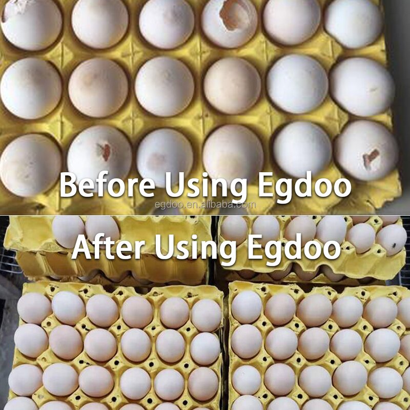 Egg Laying Booster Manufacturer - 1kg Package Vitamin Premix Feed Additives