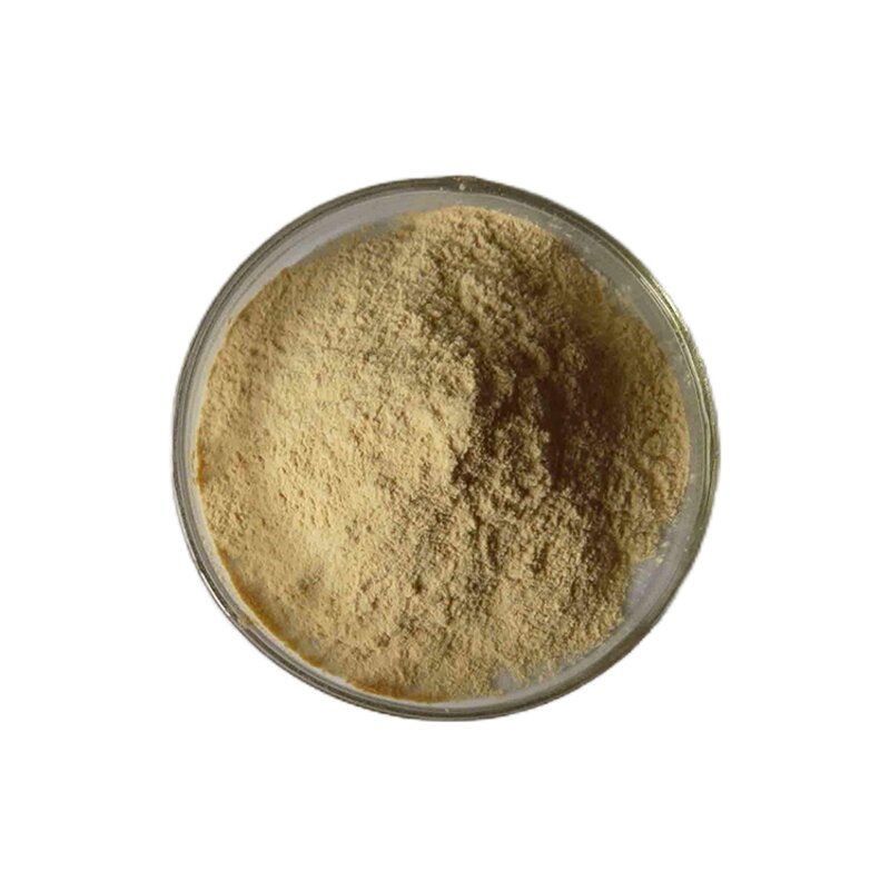 Soya Lecithin - CAS 8002-43-5 Food Grade Emulsifier Powder