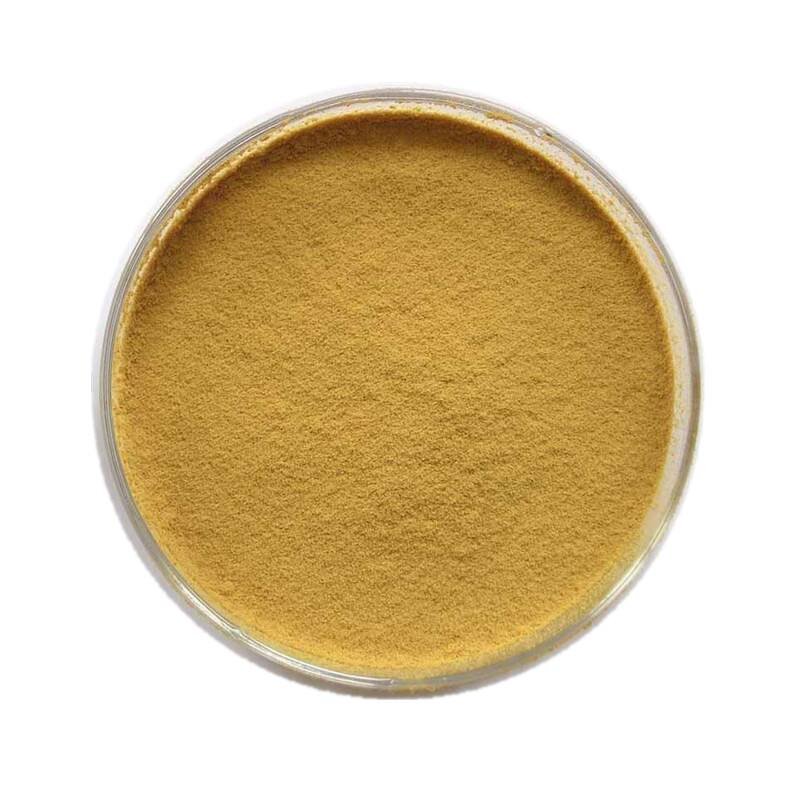 Riboflavin-5-Phosphate Sodium - CAS 130-40-5 Vitamin B2 Derivative