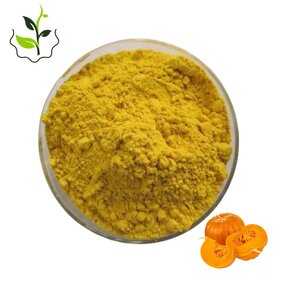 Pumpkin Powder Manufacturer - Bulk Dry Pure Natural Organic Freeze Dried Best Price