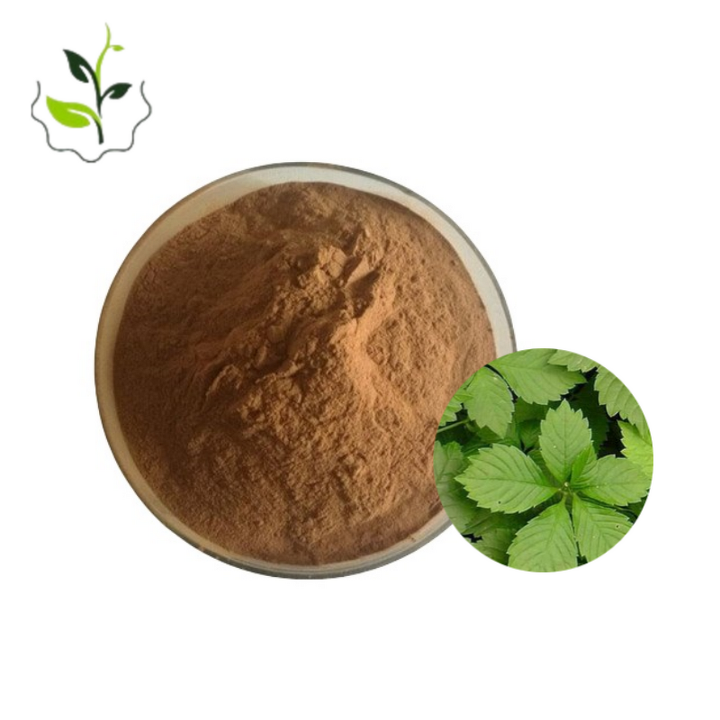 Pueraria Extract Powder Manufacturer - Puerarin Jiaogulan Gynostemma Best Price