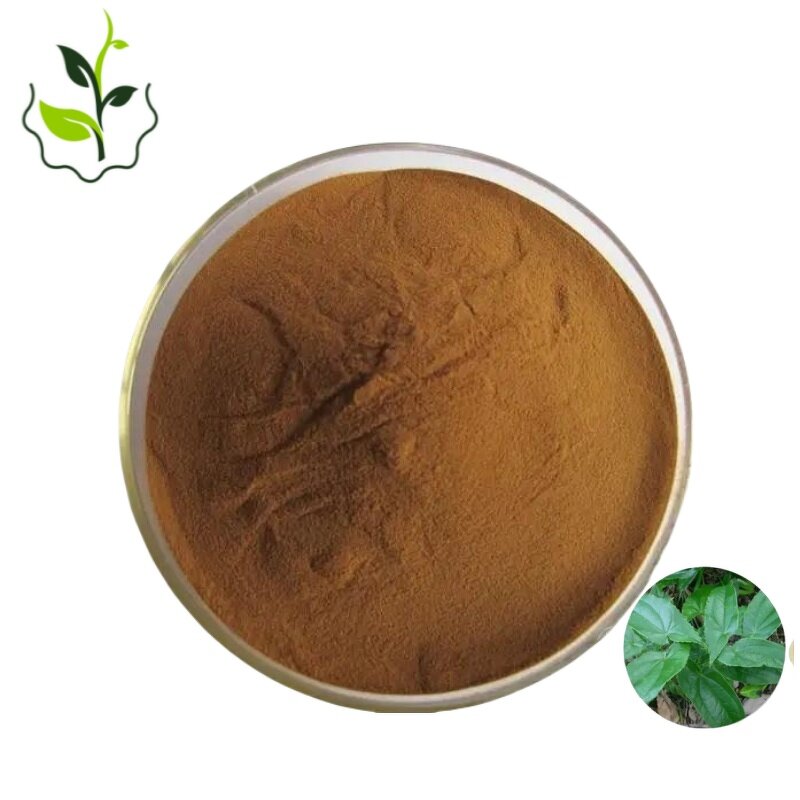 Horny Goat Weed Capsule Manufacturer - High Potency Extract Powder & OEM Wholesale