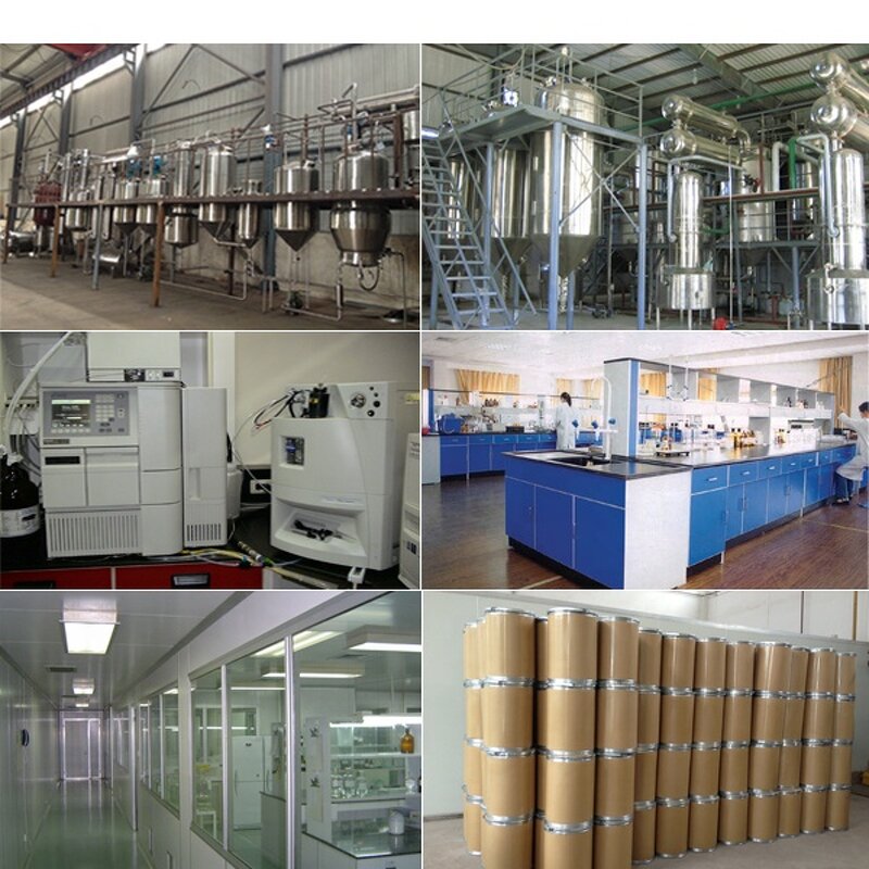 Creatine Monohydrate Powder Factory - N-Amidinosarcosine 200mesh Healthcare Supplements