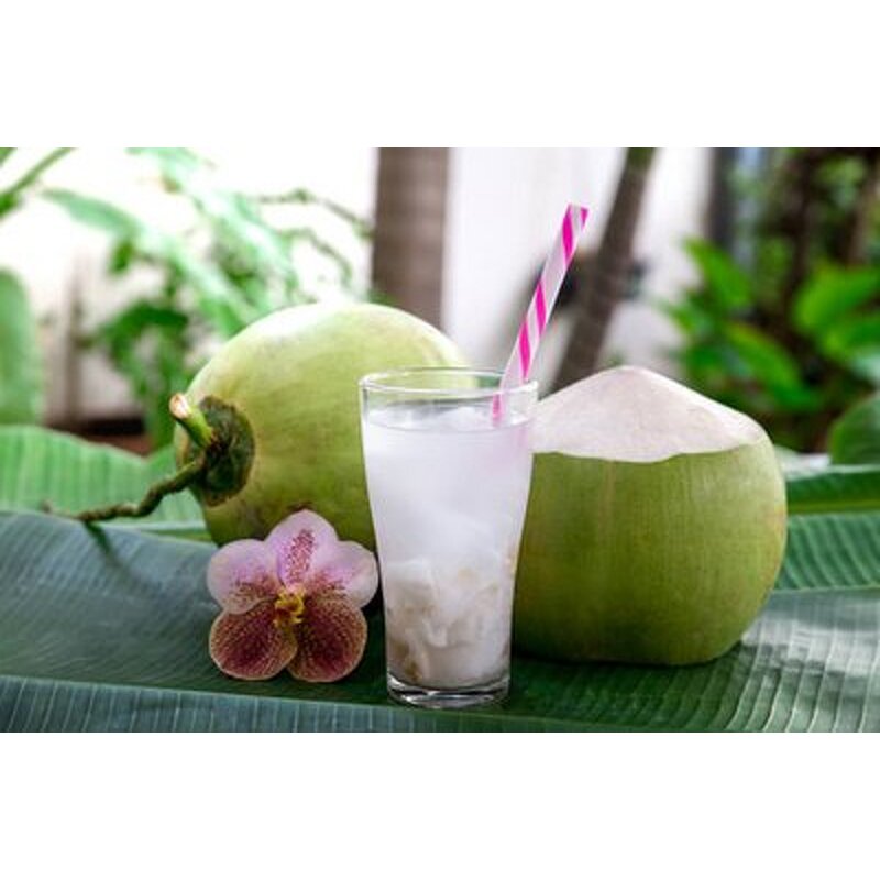 Coconut Milk Powder Manufacturer - Natural Juice Cream Powder China Manufacturer Price