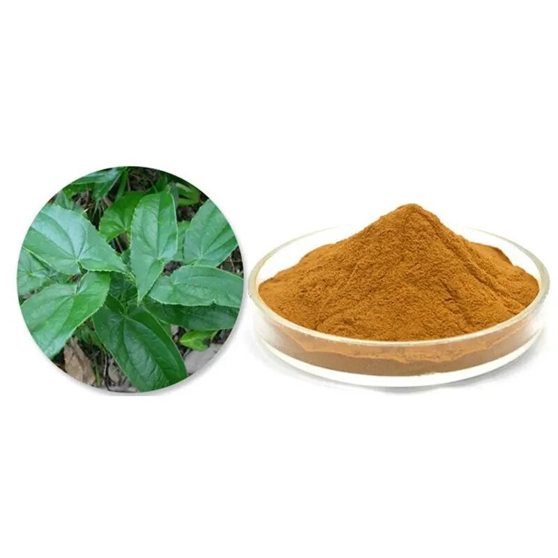 Horny Goat Weed Extract Powder Factory - 100% Pure Food Grade Vacuum Packed