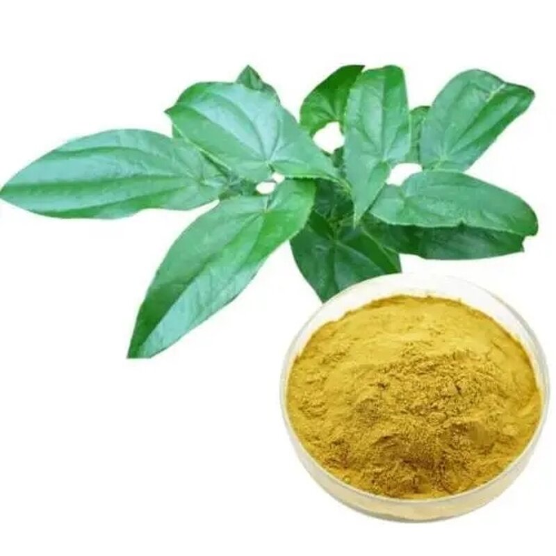 Epimedium Extract Capsules Manufacturer - 10%-60% Icariin Horny Goat Weed Wholesale
