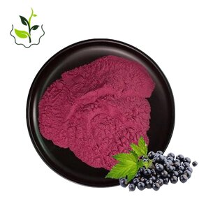 Blackcurrant Extract Powder Manufacturer - 20:1 100% Pure Water Soluble Food Grade Hot Selling