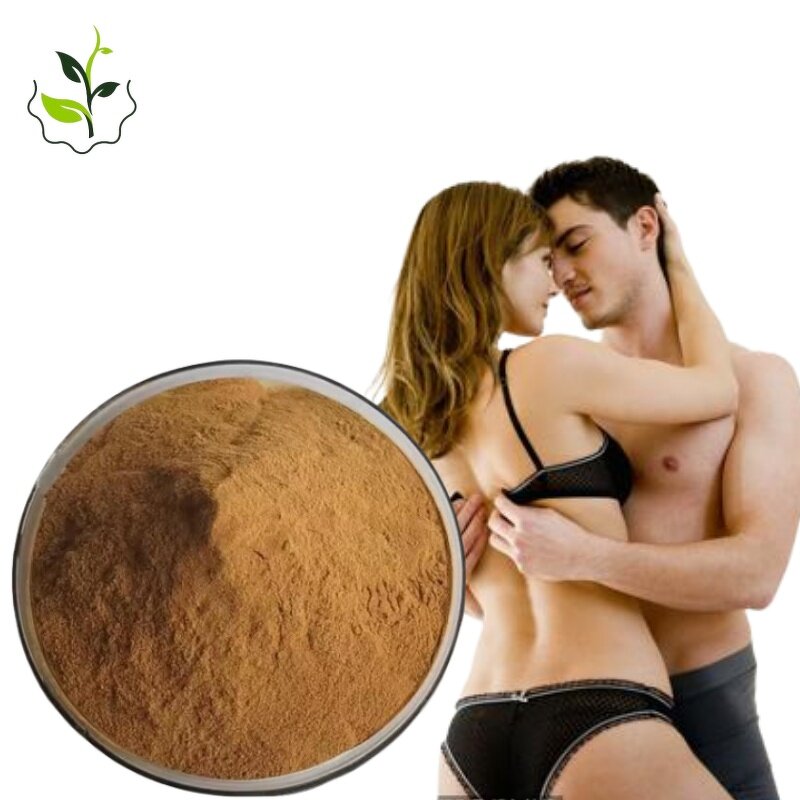Cynomorium Extract Powder Manufacturer - Songaria Herb Cynomorium Songaricum Top Quality