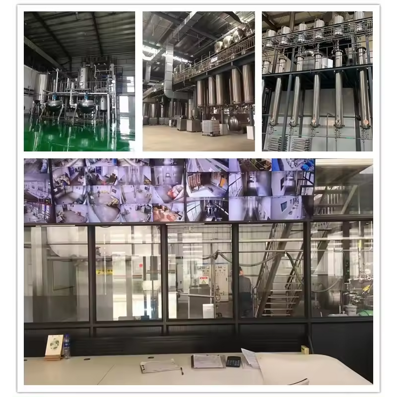 Chlorophyll Powder Manufacturer - Sodium Copper Chlorophyllin Leaf Extract Best Sale