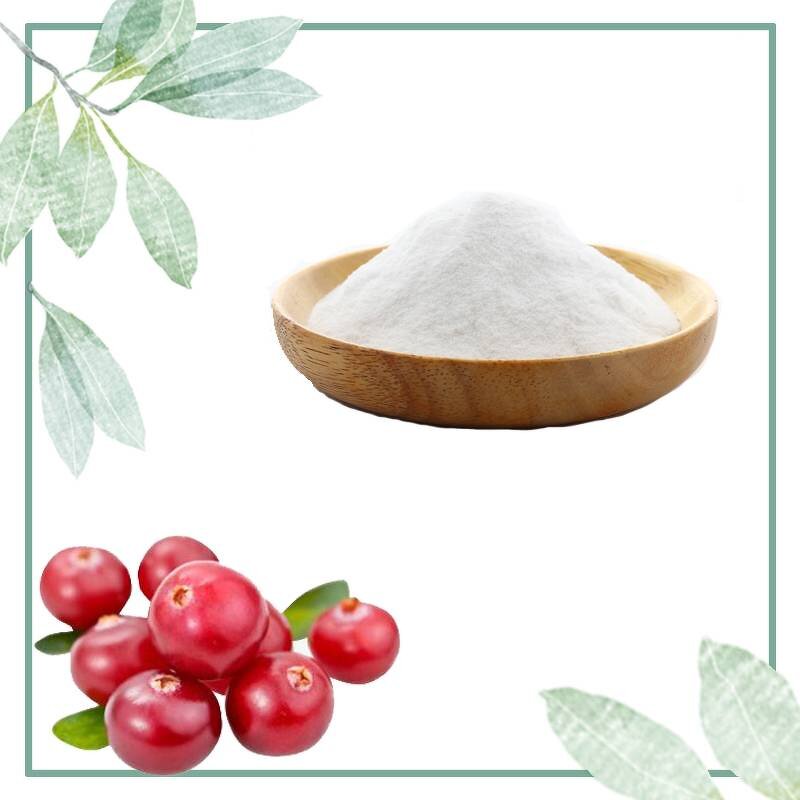 Arbutin Powder Manufacturer - Alpha Arbutin 99% Healthcare Supplement Good Quality