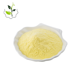 Alpha Lipoic Acid Powder Manufacturer - Raw Material R-Alpha Lipoic Supplement Best Sale