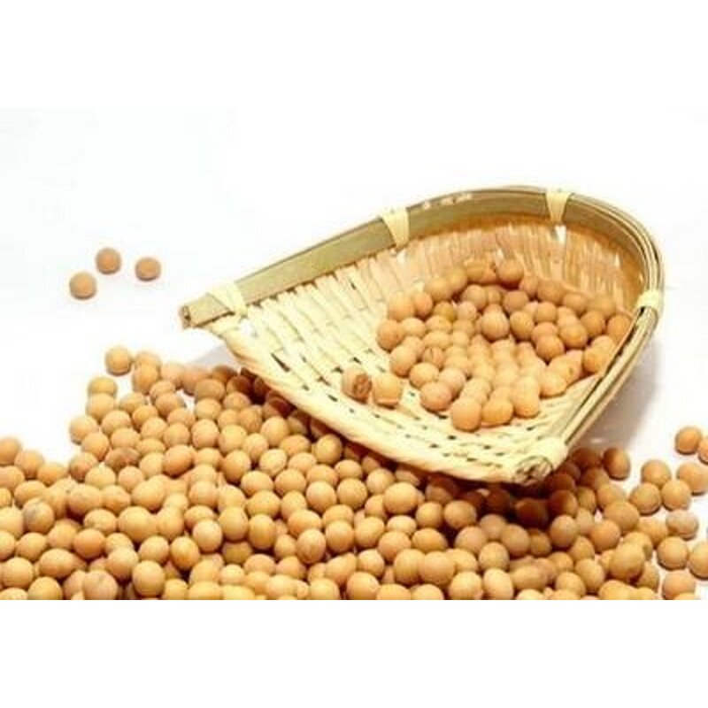 Soy Isoflavone Powder Manufacturer - Soy Bean Extract Powder Best Price High Quality