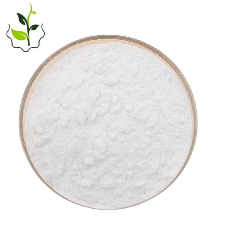 Chitosan Powder Manufacturer - for Agriculture Natural Bulk