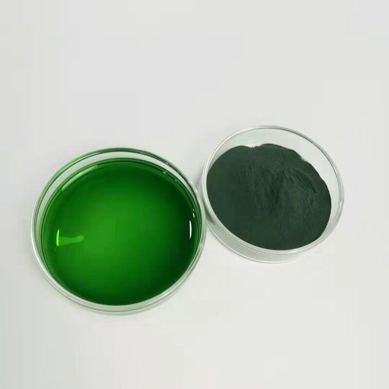 Chlorophyll Powder Manufacturer - Sodium Copper Chlorophyllin Leaf Extract Best Sale