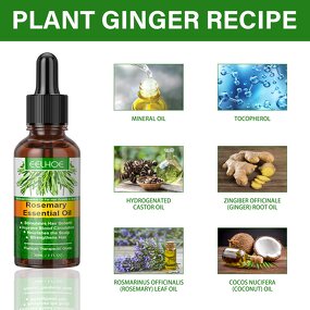 Rosemary Hair Oil - Dense Hair Growth Loss Prevention Anti-Hair Loss Treatment