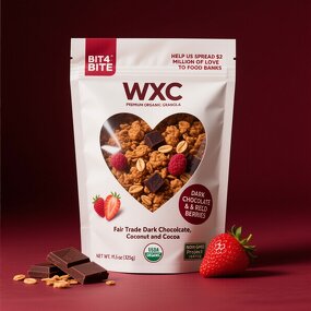 Dark Chocolate Red Berries Granola - F2C Wholesale USDA Organic Non-GMO 11.5oz Bag