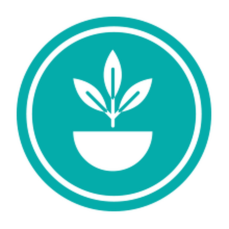 Dark Chocolate Red Berries Granola - F2C Wholesale USDA Organic Non-GMO 11.5oz Bag