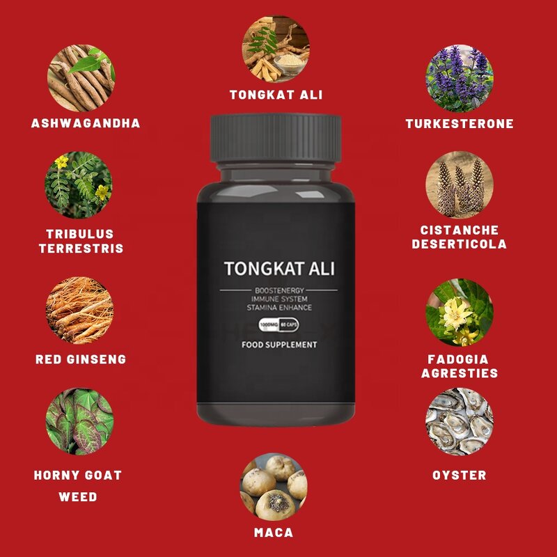 Red Panax Ginseng Capsules - Tongkat Ali Ashwagandha Turkesterone Maca Tribulus Fadogia