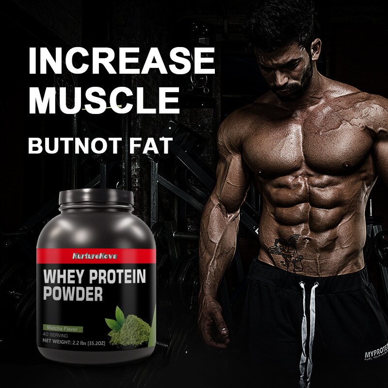 Matcha Protein Powder - OEM Proprietary Brand Fitness Muscle Growth Immunity