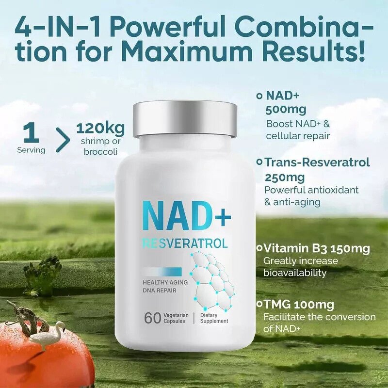 NAD+ Nicotinamide Capsules - Hot Selling Intestinal Balance Cardiovascular Health