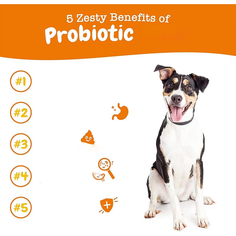 Dog Probiotic Soft Chews Manufacturer - for Gut Flora Bowel Support & OEM