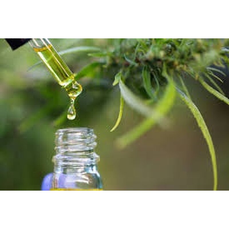 Grapefruit Seed Extract Liquid Drops Manufacturer - for Gut Health Digestion & Immune