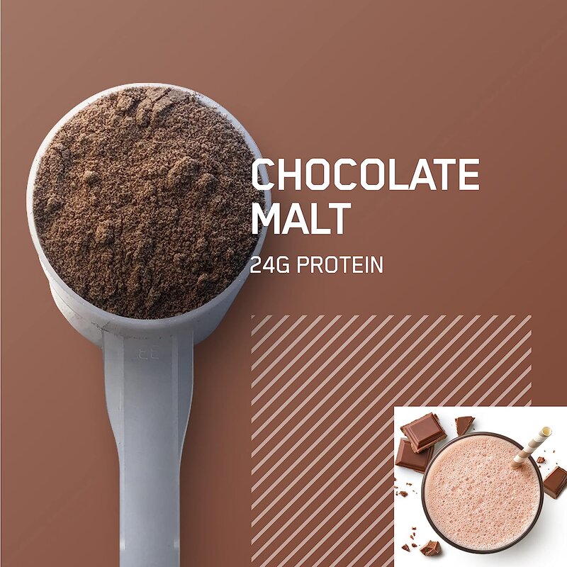 Whey Protein Isolate - Chocolate Malt Flavor Sports OEM Wholesale
