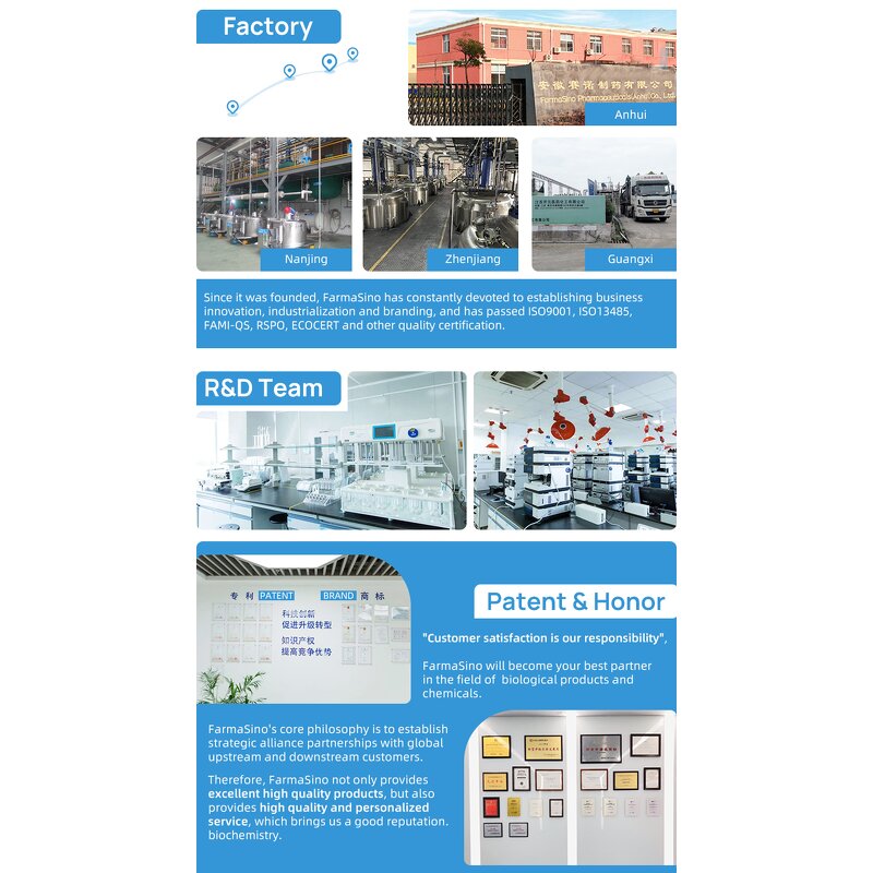 Lysine HCL Manufacturer - Animal Feed Additive China Suppliers