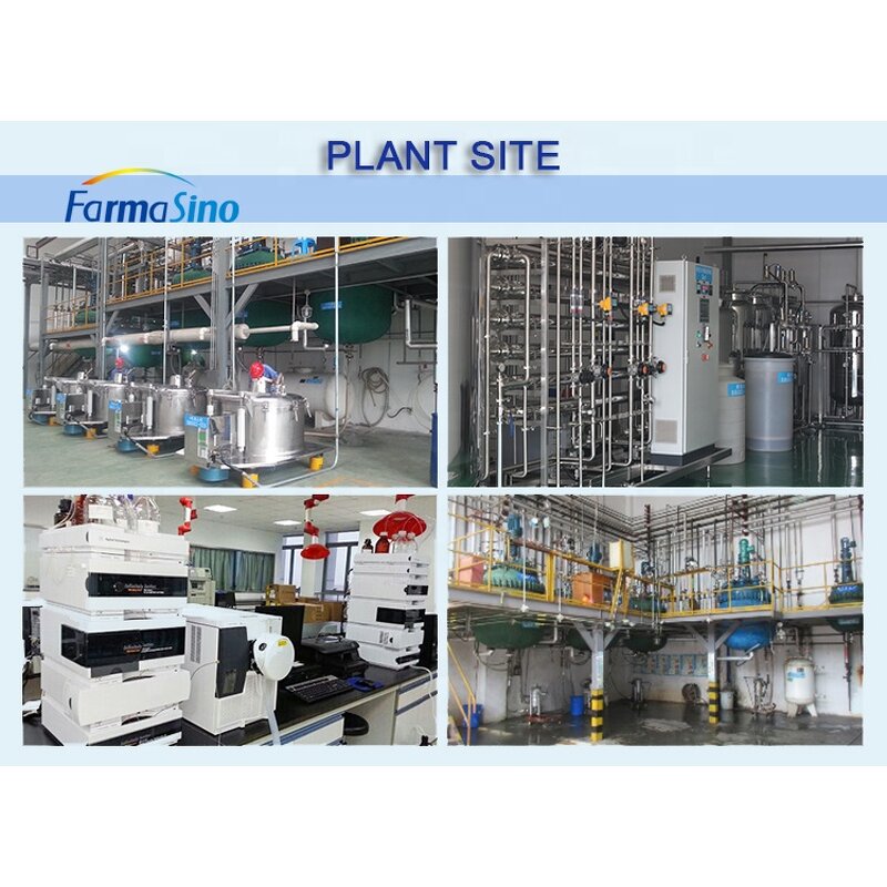 NMN Powder Manufacturer - Beta Nicotinamide Mononucleotide 99.9% Purity Bulk Supply