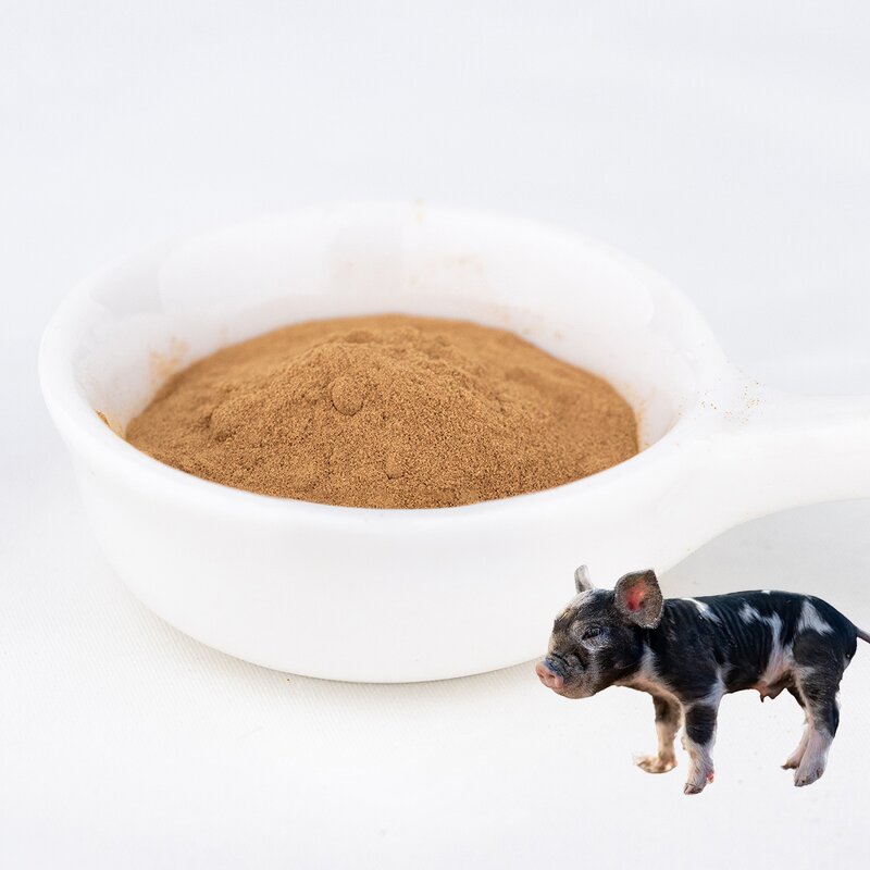 L-Tryptophan Powder Manufacturer - Feed Grade for Dairy Cattle Piglets High Quality