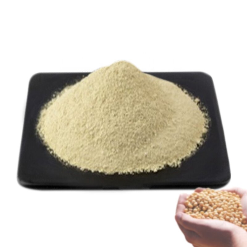 Isolated Soy Protein Factory - Hydrolyzed Bulk Sales Best Quality Supply