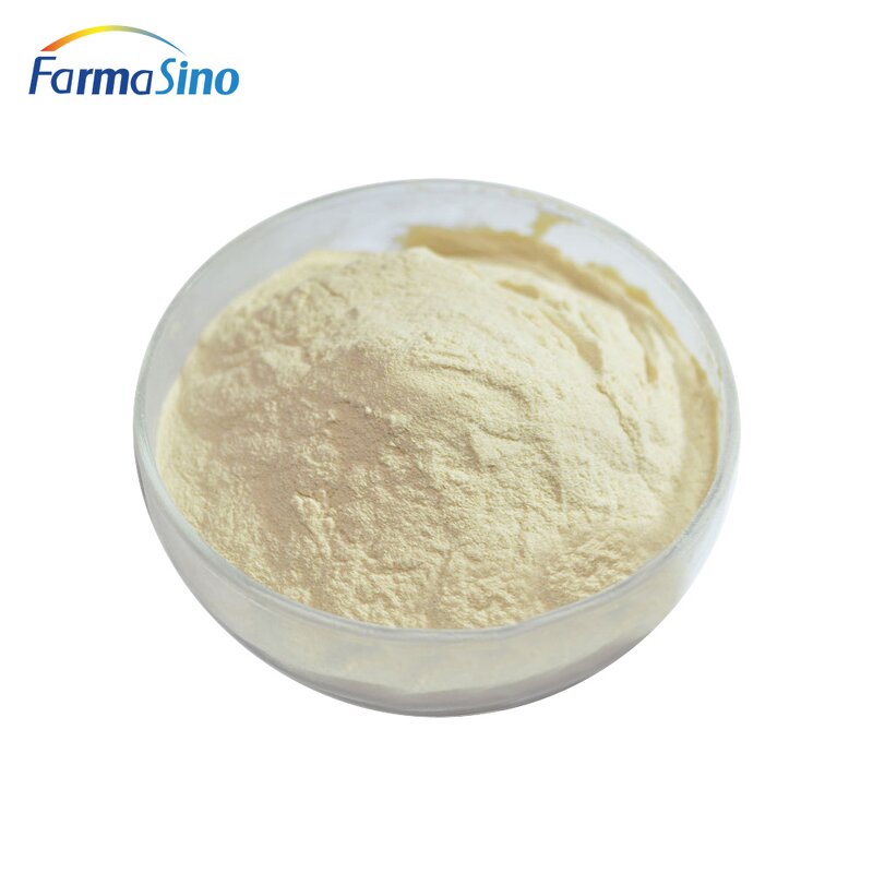 Royal Jelly Powder Manufacturer - Natural Pure Wholesale Price