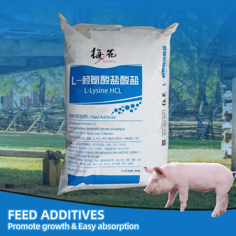 Lysine HCL Manufacturer - Animal Feed Additive China Suppliers