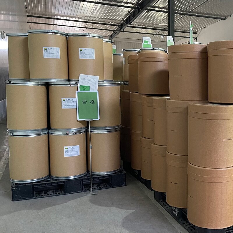 Sodium Alginate Powder Manufacturer - Food Grade CAS 9005-38-3 Bulk in Stock