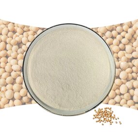 Isolated Soy Protein Factory - Hydrolyzed Bulk Sales Best Quality Supply