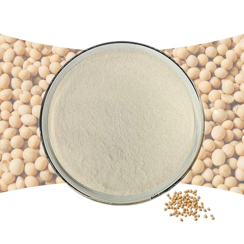 Isolated Soy Protein Factory - Hydrolyzed Bulk Sales Best Quality Supply